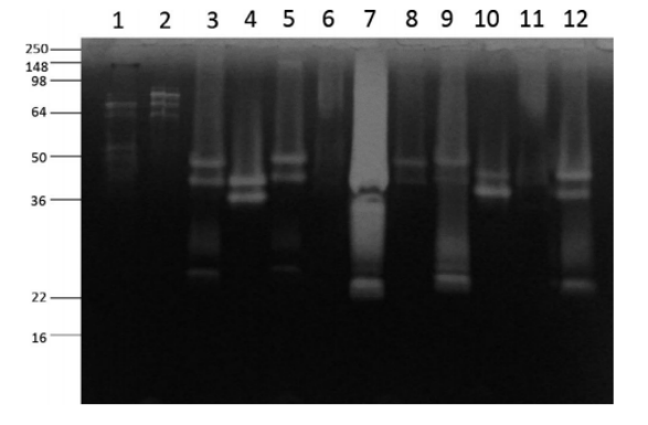 1714187522432417.png image.png