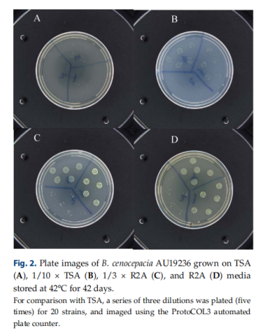 1716015747689441.png image.png