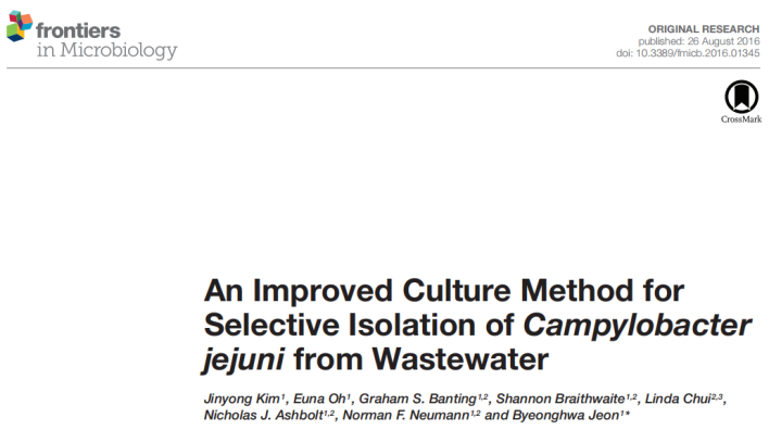 1719219425723814.png image.png