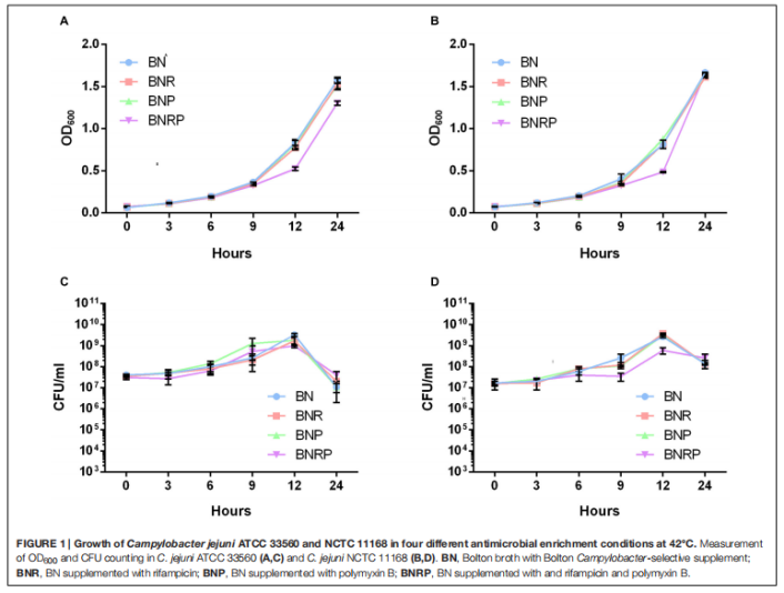 1719219467770332.png image.png