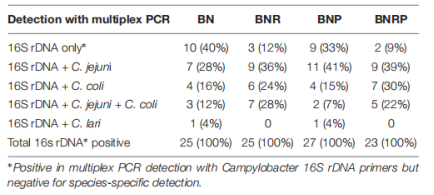 1719219592276905.png image.png