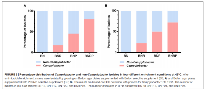 1719219625682214.png image.png